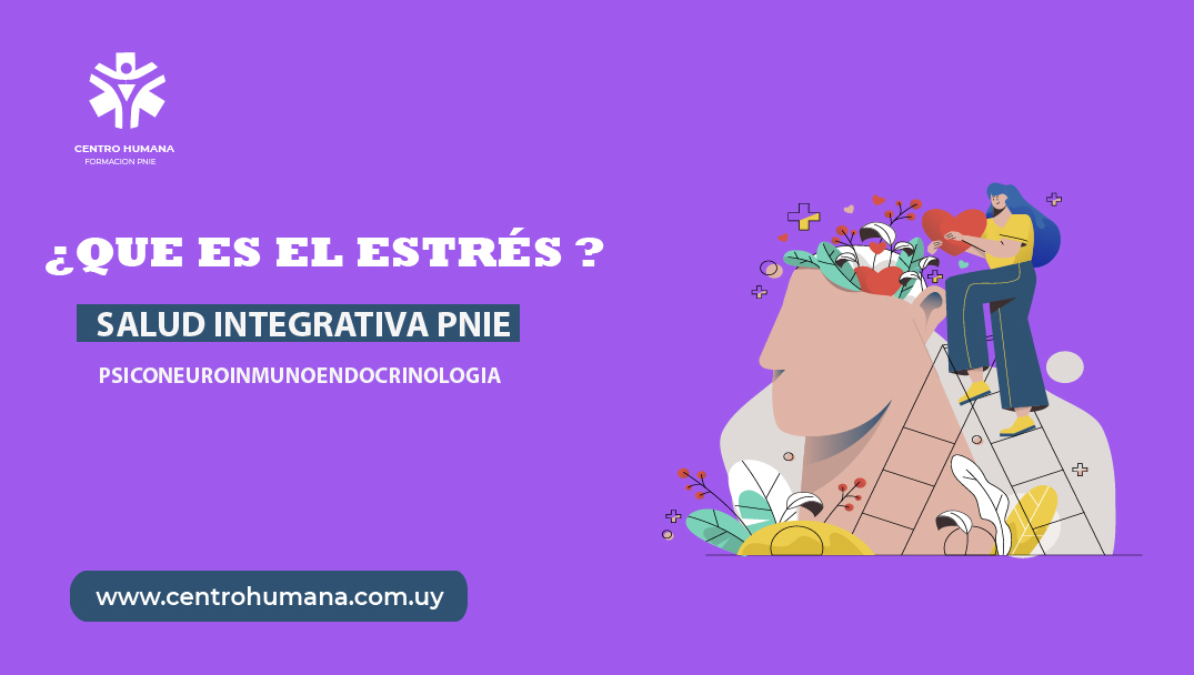 ICHNque_es_el_estresNImagen_para_el_blog_Mesa_de_trabajo_26.jpg